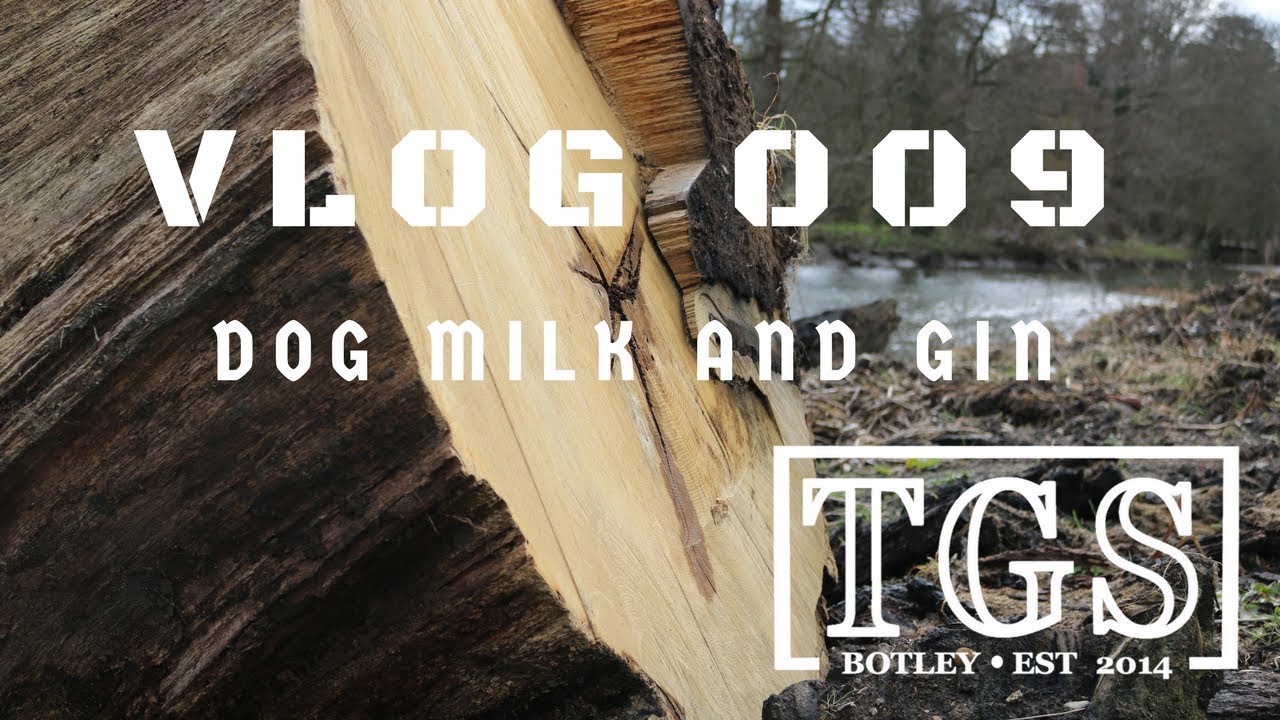 Vlog 009 - Dog Milk and Gin shooting in dc
