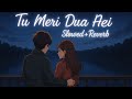 Tu Meri Dua Hai — Hindi Audio Premium Song | Official Bollywood Song | (Slowed+Reverb)