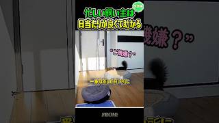 お部屋選びに日当たりが重要な理由