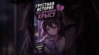 Грустная история про крыску #squimeh #vtuber #втубер #pitomnik33 #memes