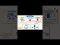 🔥 مراجعة أجهزة الربط لطلاب أولى ثانوي | Switch vs Router vs Hub ببساطة 💻🚀