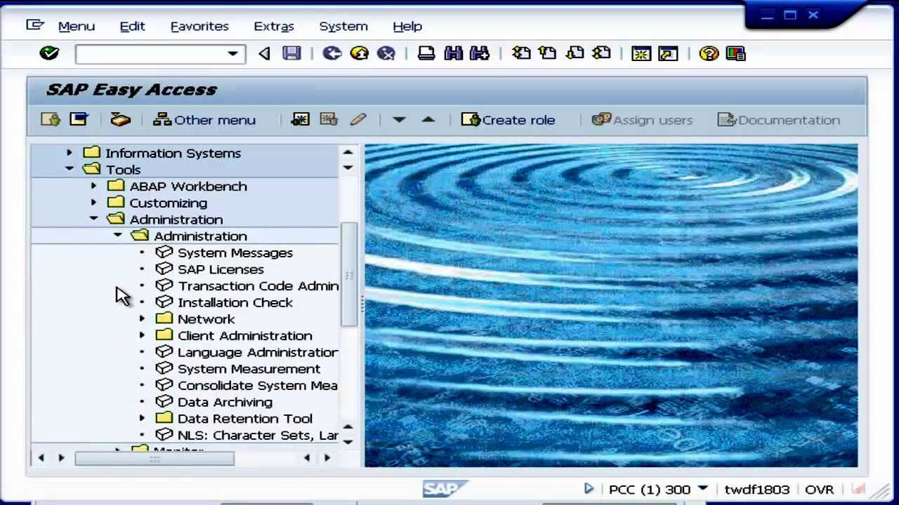 Types Of Client Copy In Sap Types Of Client Copy In Sap