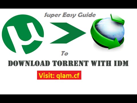 Direct Download Torrent Files via IDM at X Speed (6 Methods) how to download torrent files with idm
