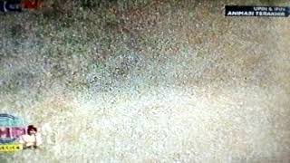 Upin & Ipin Anak Ayam