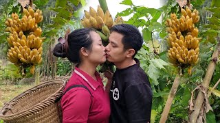 Harvesting bananas and green onions - Taking care of the vegetable garden is a daily job on the farm