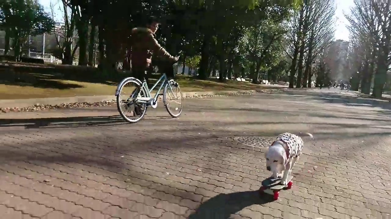 スーパービーグル プリン "Purin the Super Beagle" #53