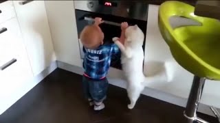 Подборка приколов,смешное видео,юмор шоу # 8 Подборка приколов,смешное видео,юмор шоу # 8