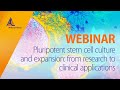 Pluripotent stem cell culture and expansion: from research to clinical applications [WEBINAR]