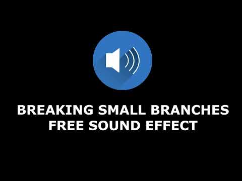 Breaking Small Branches - Sound Effect (SFX)