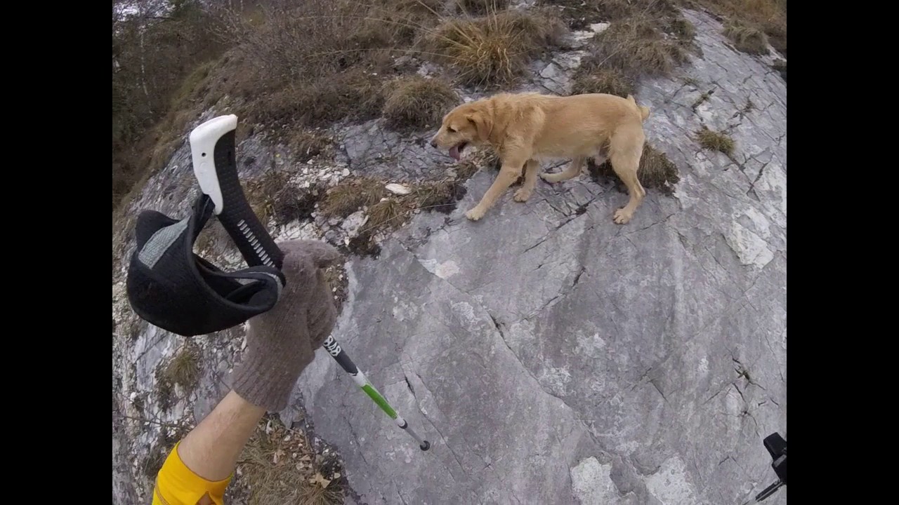 SUSPIRIA2, l'Hotel Campo dei Fiori YouTube
