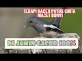 Terapi Kacer Macet Bunyi Dijamin Gacor Kembali Mp3 - Mp4 Download