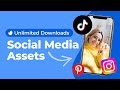 Get unlimited social media assets