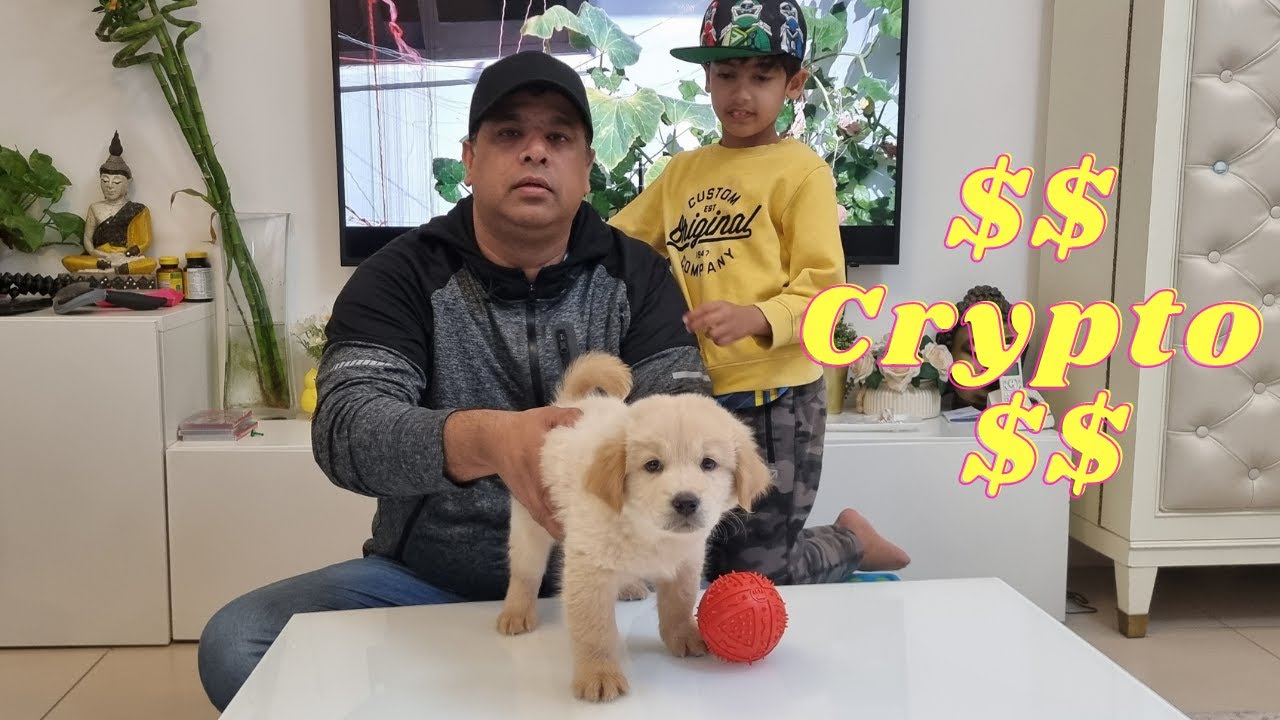 Meet Our New Family Member "Crypto" The Golden Retriever