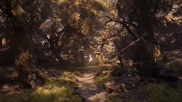 Project Elderwood | World Building with Houdini and Unreal