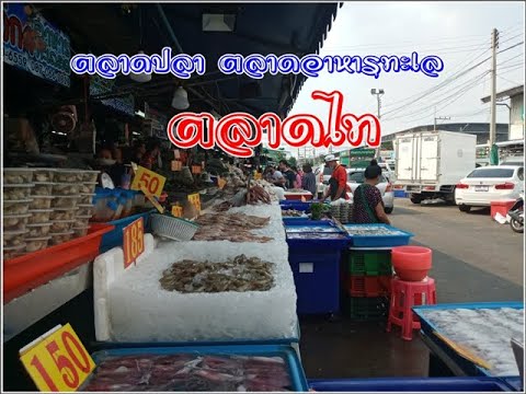 เยี่ยมชมตลาดปลาน้ำจืด กุ้งแม่น้ำ อาหารทะเล |ตลาดไท