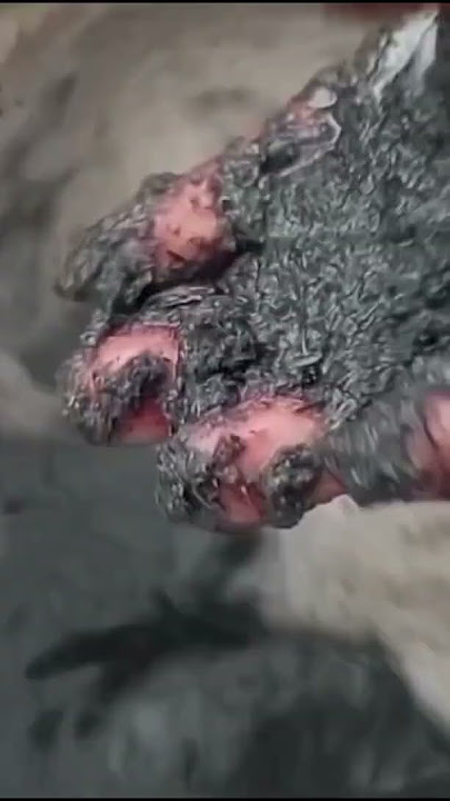 silika cair dari abu jerami