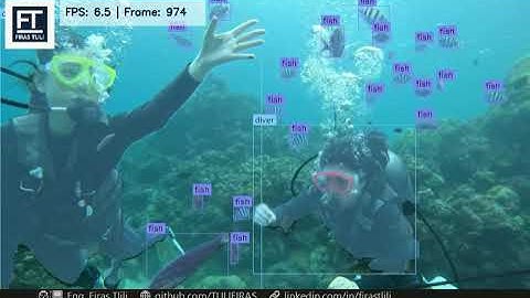 🌊 Scuba-Diving Instance Segmentation with YOLOv11 🤿🦈🐢🐠🦑