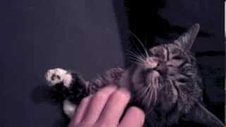 JUST BUB: PT II
