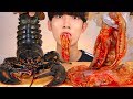 ASMR FIRE LIVE OCTOPUS LOBSTER 살아있는 꿈틀 핵불닭 산낙지 랍스터 먹방 MUKBANG SEAFOOD SQUID EATING SOUNDS 生たこ Gurita