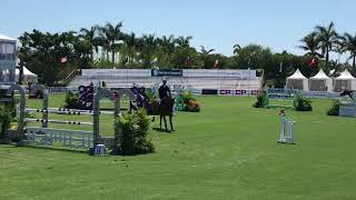 Poden Farm's F One USA & Ben Maher 5th place Palm Beach Open