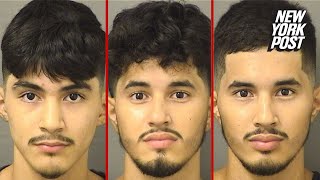 Three illegal migrants nabbed in Florida for allegedly sexually assaulting child