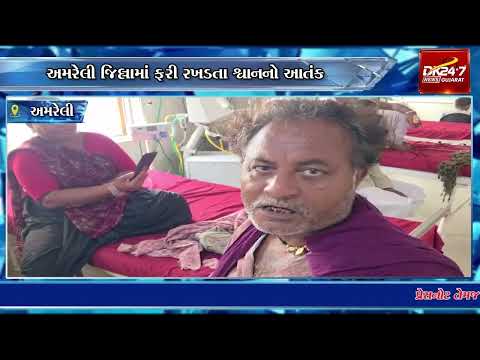 અમરેલી જિલ્લામાં ફરી એકવાર રખડતા શ્વાનોનો આતંક સામે આવ્યો#drashtikonnews