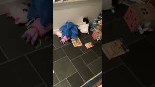 IMG 2847