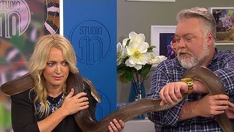 Kyle & Jackie O vs. Ollie The Olive Python | Studio 10
