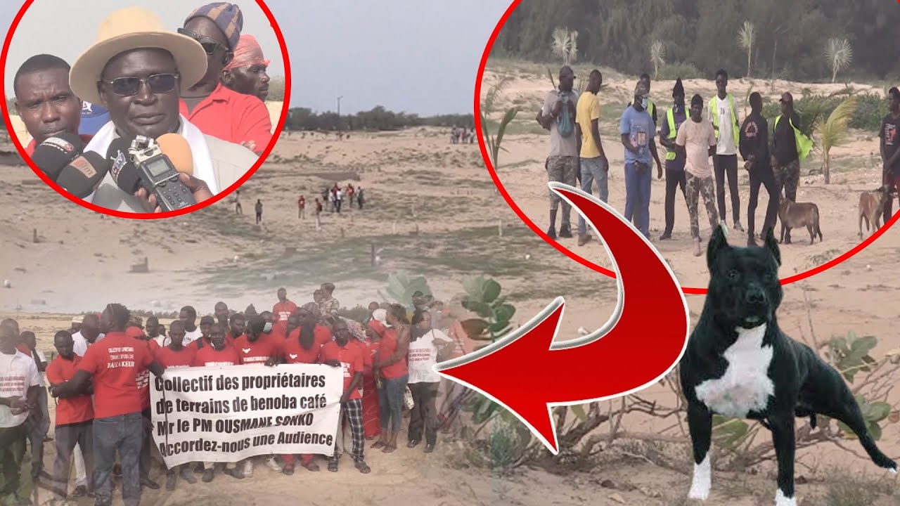 Urgent : Litige Foncier au Lac Rose - Le Maire de Tivaouane Peul Installe une 'Armée Mexicaine