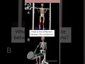 What is the difference between thevariations?Seated Calf Press vs. Standing Calf Raises