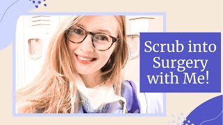 Scrub into Surgery with Me! | BellaVet