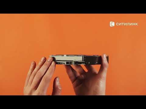 Обзор жесткого диска WD Caviar Blue WD10EZEX | Ситилинк