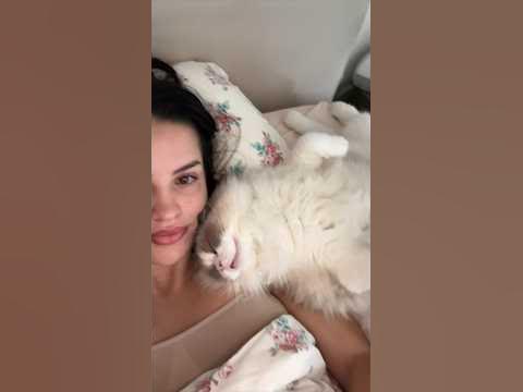 My cat makes the cutest squeak noise in the morning - YouTube