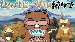 【 #ポケモン  】第3話 ビッパ、ビーダル縛りでPokémon LEGENDS アルセウス【#初見プレイ】