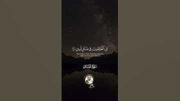 فضيلة الشيخ القارئ عبد الولي الاركاني حفظه الله#foryou#abdulwalialarkani #عبدالولي_الاركاني