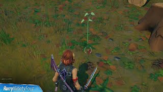 Plant Saplings at Stumpy Ridge, Fork Knife Food Truck, or FN Radio All Locations - Fortnite