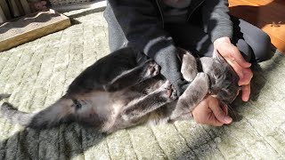 A spoiled cat who loves grandma so much that she bites grandma's hand.