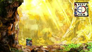 Best VGM 2598 - Braid - Downstream