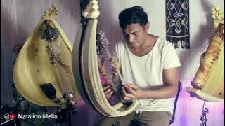 Waktu Yang Tepat | Sasando Cover by Natalino Mella