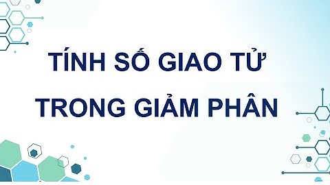 Giảm phân ở động vật như thế nào