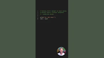 Python. Команды print() input()