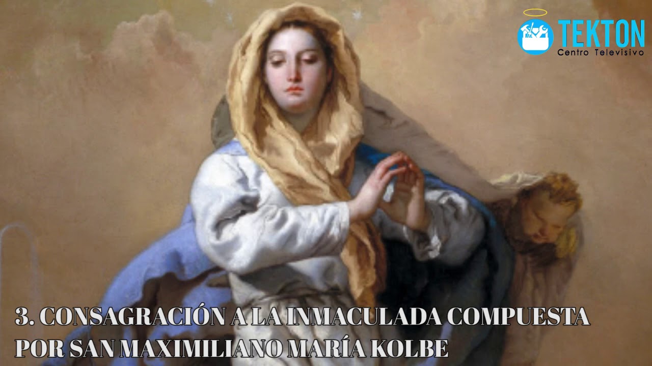 ⁣Pequeño documental católico sobre la festividad de la Inmaculada Concepción