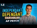 Understanding Experimental Methods in Psychology