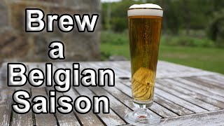 Brew a Belgian Saison