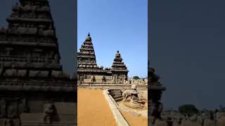 Shore temple...🛕#shortsfeed#ytshorts#trending#viral#vaakannamma#shoretemple#mahabalipuramtemple#song