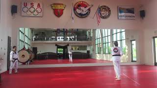 03Blue Stripe Belt Poom Saeform Tae Geuk Sam 3Jang