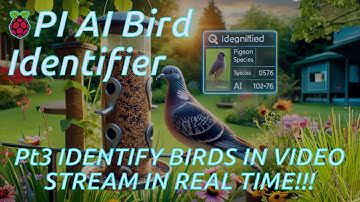 AI Bird Identifier PART 3!! Identify birds on YOUR bird feeder using a RASPBERRY PI and AI