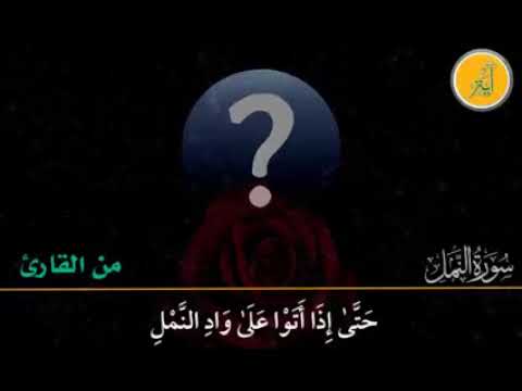 الشيخ شكري البرعي سورة النمل