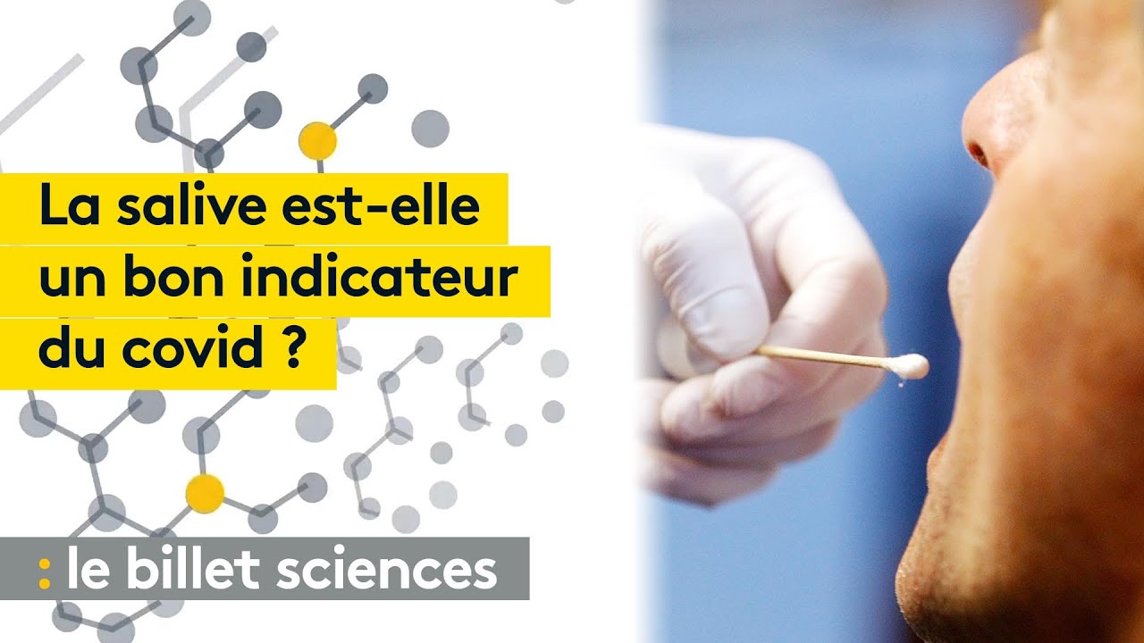 Les tests salivaires rapides, un outil majeur pour mieux contrôler