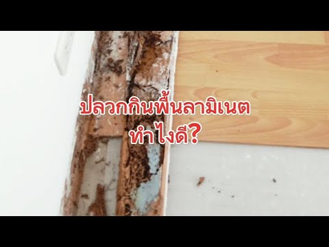 ผลสลากกินแบ่งรัฐบาล วันที่ 1 พย. 2567 ผลสลากกินแบ่งรัฐบาล วันที่ 1 พย. 2567
